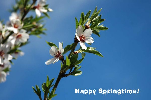 Springtime!