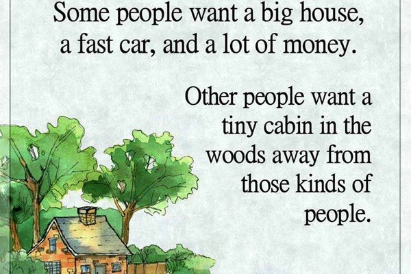 A tiny cabin in the woods