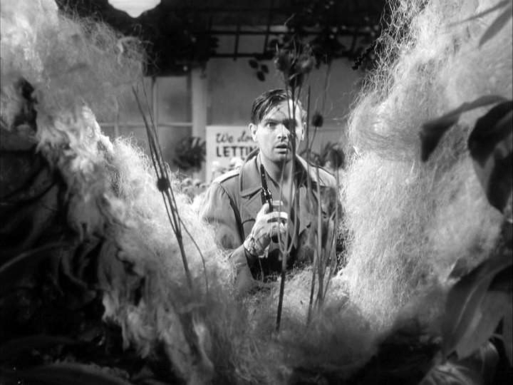 02 the little shop of horrors
